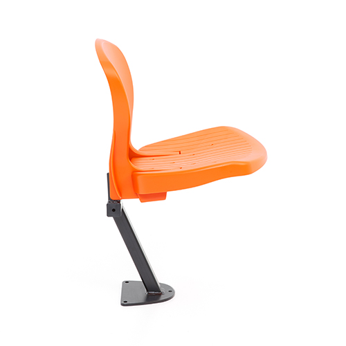 AlbanyEF StadiumSeating 1